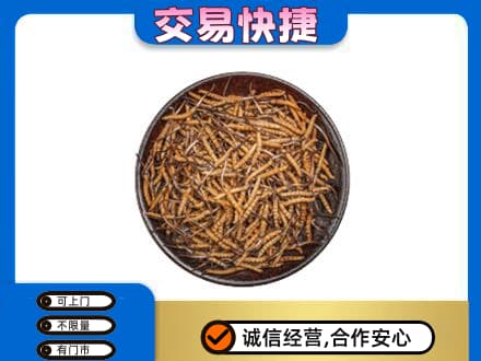 宁波市回收散虫草